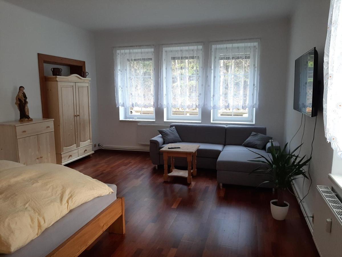 Apartman Vila Vítkovice Buitenkant foto
